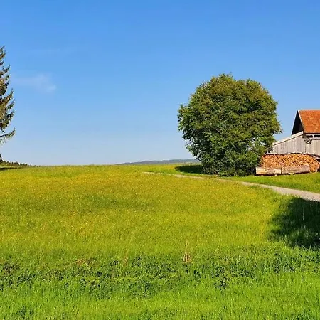 Ferienhaus Feriendorf Hochbergle Haus 98 *